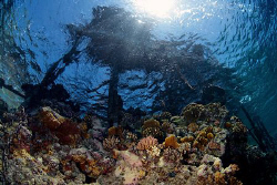Big Brother Island - Red Sea, Egypt. by Jim Garland 